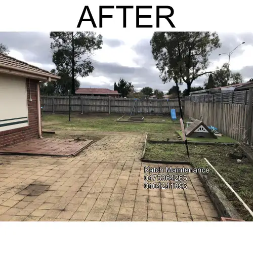 Lawn after