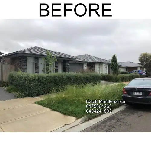Project before