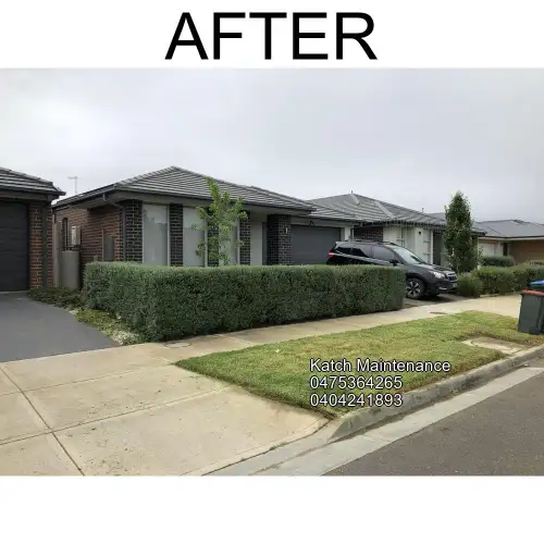Project after