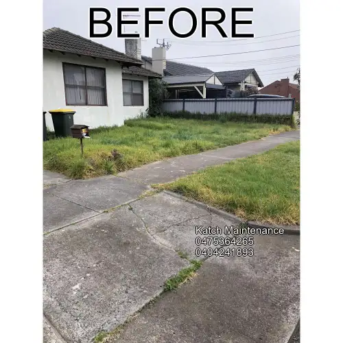 Garden before