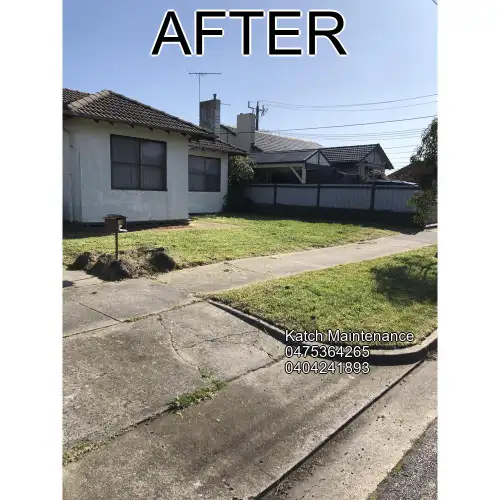Garden after