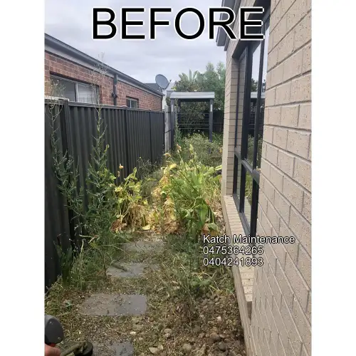 Yard before