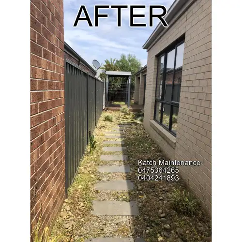 Yard after