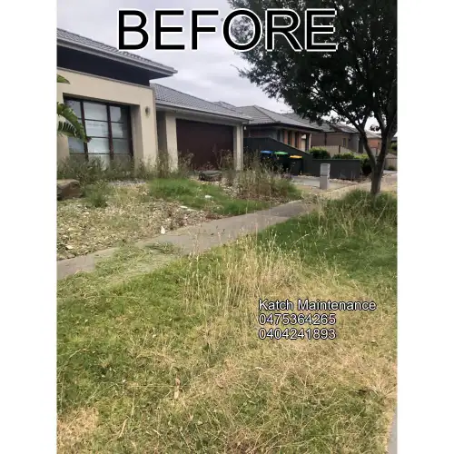 Project before
